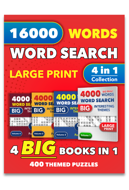 Double The Fun Large Print Word Search for Adults