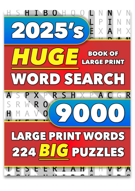 Double The Fun Large Print Word Search for Adults